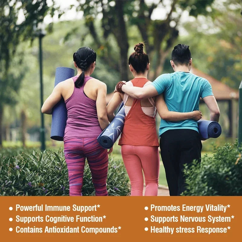 Mushroom Complex Capsules Support Immune System