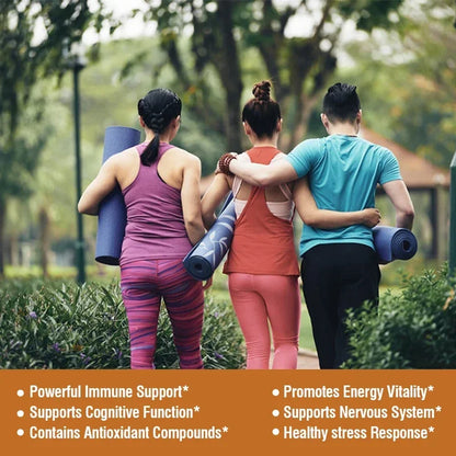 Mushroom Complex Capsules Support Immune System